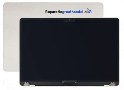 Display Zilver / A2141 MacBook Pro 16 inch